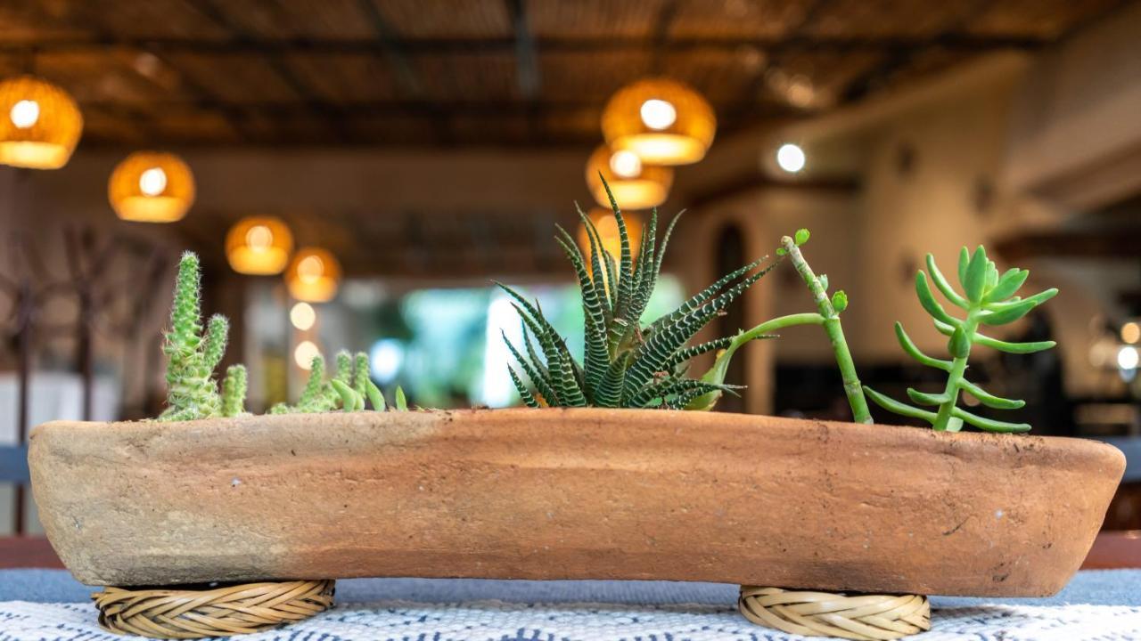 Casa Los Cantaros Hotel Boutique Oaxaca Екстер'єр фото