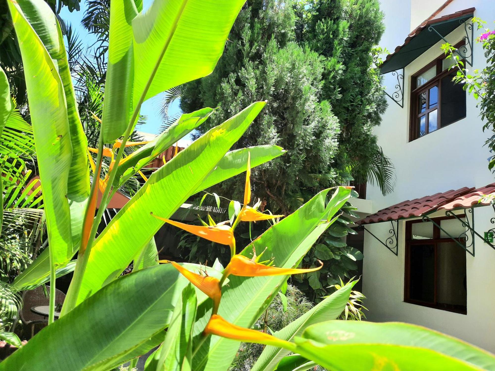 Casa Los Cantaros Hotel Boutique Oaxaca Екстер'єр фото