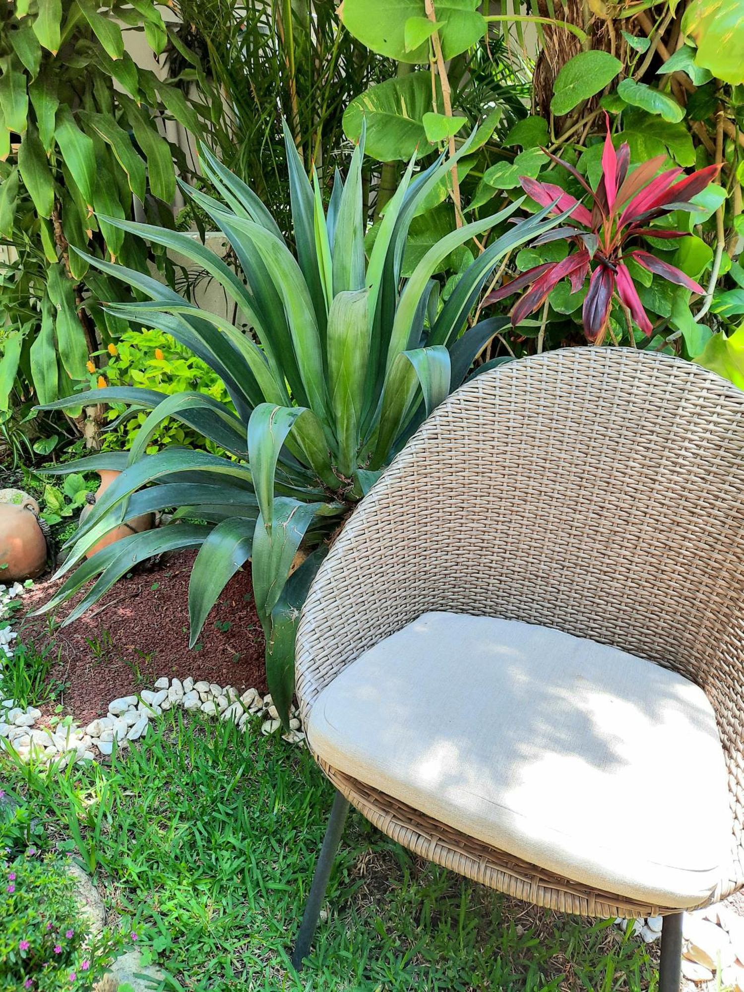 Casa Los Cantaros Hotel Boutique Oaxaca Екстер'єр фото
