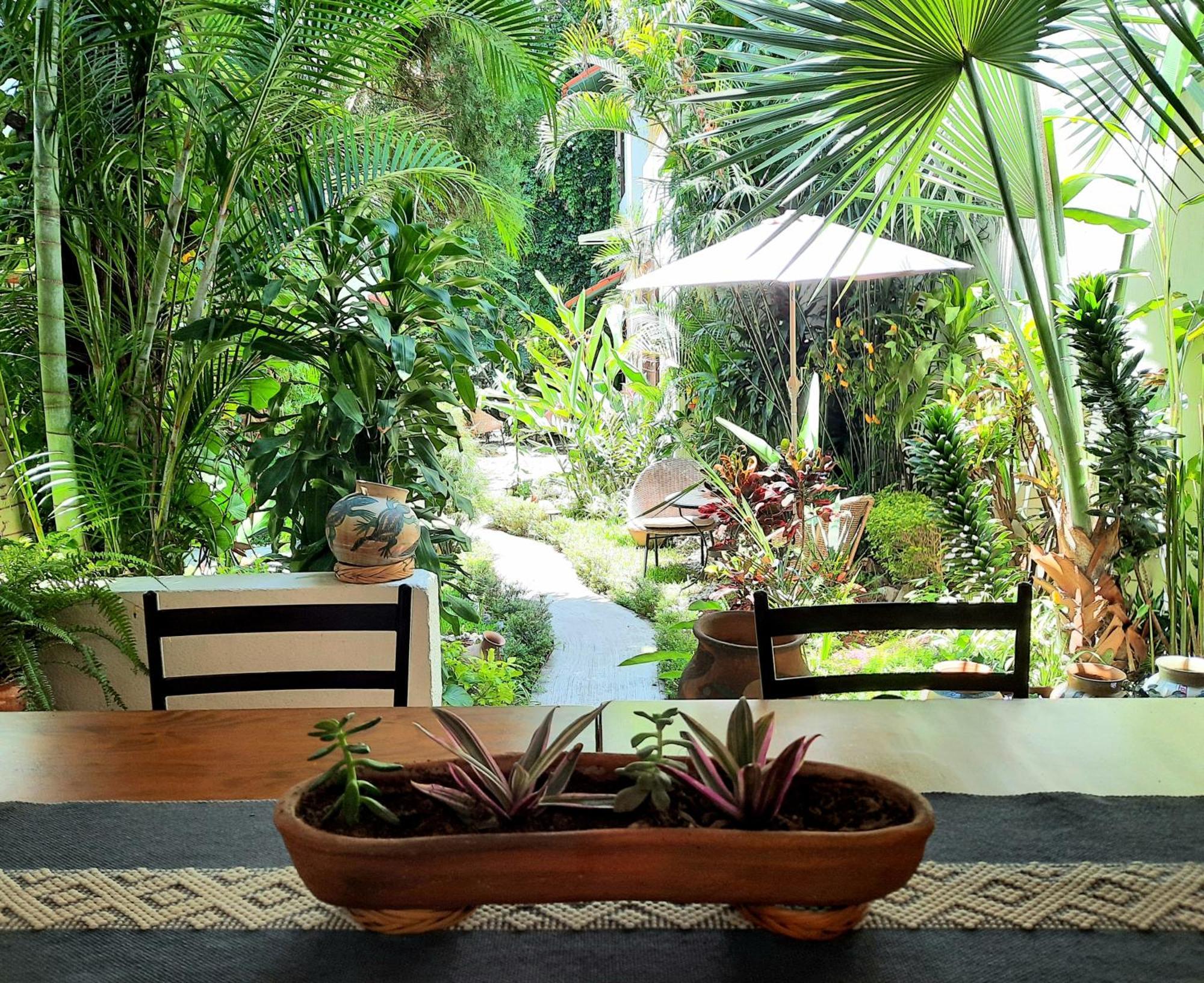 Casa Los Cantaros Hotel Boutique Oaxaca Екстер'єр фото